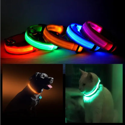 Flux™ LED Pet Safety Halo Collar – Ultra-Bright Night Visibility Collar for Dogs & Cats