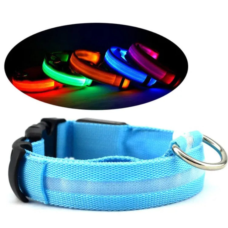 Flux™ LED Pet Safety Halo Collar – Ultra-Bright Night Visibility Collar for Dogs & Cats